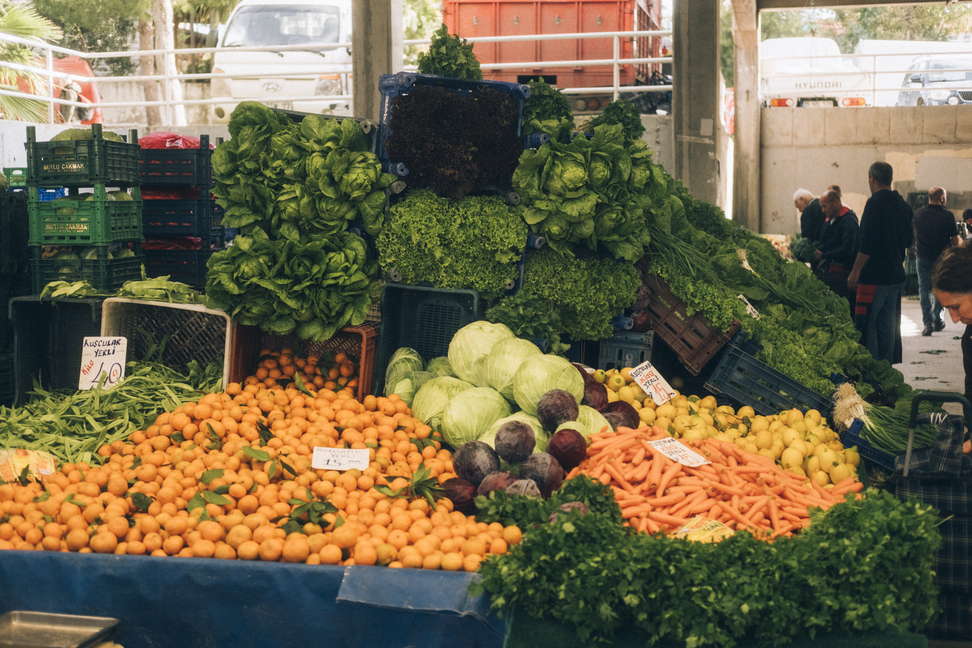 Veganing in Turkey